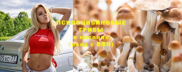 PSILOCYBIN Горнозаводск