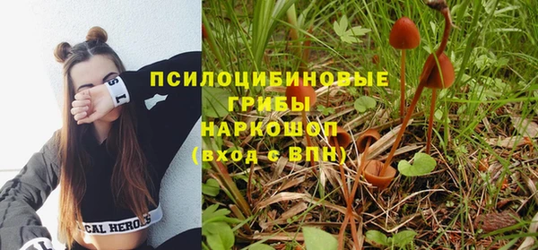марки nbome Новозыбков