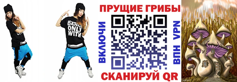 где найти наркотики  Новоаннинский  ссылка на мегу онион  Галлюциногенные грибы мухоморы 